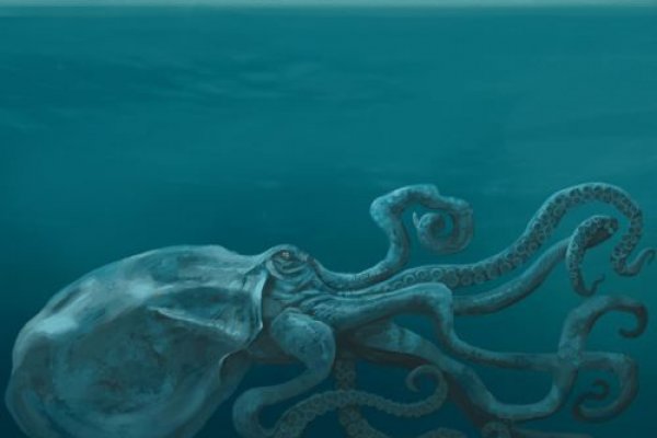 Магазин kraken даркнет