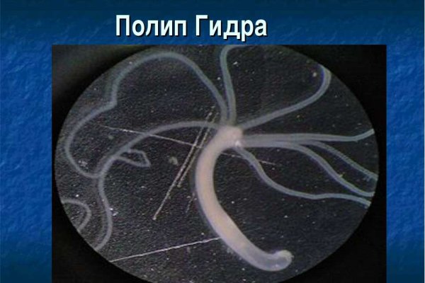 Как восстановить аккаунт на кракене даркнет