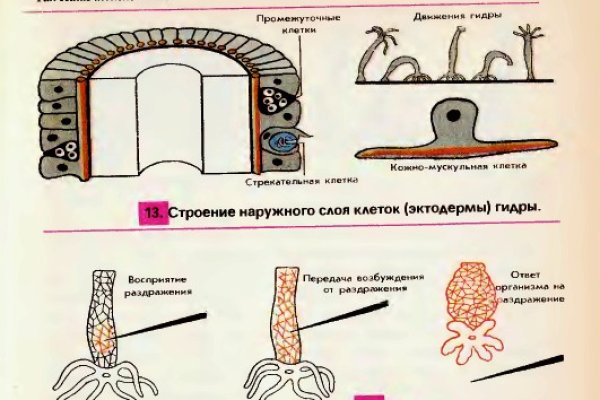 Кракен даркнет войти